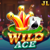 Wild Ace Felbit slot